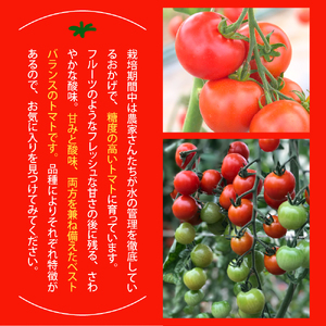 北海道十勝芽室町 なまら十勝野の旬の完熟トマトを3～4品種詰め合わせた食べ比べセット me001-013c