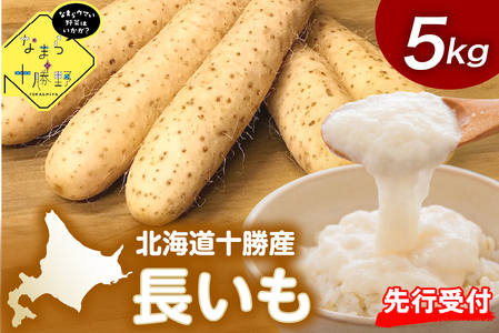 【先行受付】【12月中旬以降発送】なまら十勝野の 長いも 5kg ふわとろ焼きレシピ付 北海道 十勝 芽室町me001-010c
