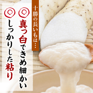 【先行受付】【12月中旬以降発送】なまら十勝野の 長いも 5kg ふわとろ焼きレシピ付 北海道 十勝 芽室町me001-010c