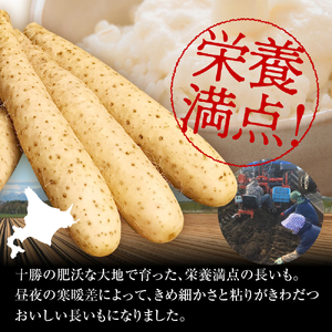 【先行受付】【12月中旬以降発送】なまら十勝野の 長いも 5kg ふわとろ焼きレシピ付 北海道 十勝 芽室町me001-010c