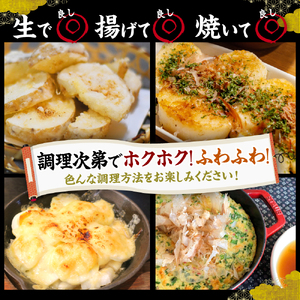 【先行受付】【12月中旬以降発送】なまら十勝野の 長いも 5kg ふわとろ焼きレシピ付 北海道 十勝 芽室町me001-010c