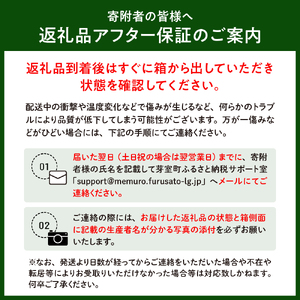 レビューキャンペーン実施中！【先行受付】【2025年9月下旬より配送予定】北海道十勝芽室町じゃがいも メークイン 5kg 芋 ジャガイモ 産地直送 数量限定 ポテト 芋 お芋 イモ いも 新鮮 カレー シチュー グラタン おでん チーズ じゃがバター 焼肉 美味しさに 訳あり me002-002-24c