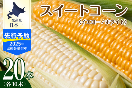 【2025年分先行予約】北海道十勝芽室町 とうもろこし イエロー種10本 ホワイト種10本 とうもろこし トウモロコシ 北海道 十勝 芽室町 生 野菜 人気 キャンプ飯 BBQ ソロキャン お取り寄せme002-016c-25