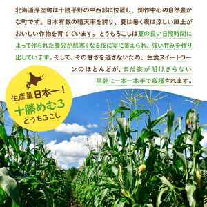 【2023年分先行予約】北海道十勝芽室町 とうもろこし イエロー種10本 ホワイト種10本 me002-016