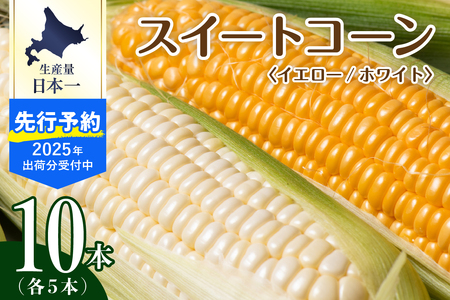 【2025年分先行予約】北海道十勝芽室町 とうもろこし イエロー種5本 ホワイト種5本 とうもろこし トウモロコシ 北海道 十勝 芽室町 生 野菜 人気 キャンプ飯 BBQ ソロキャン お取り寄せ me002-008c-25