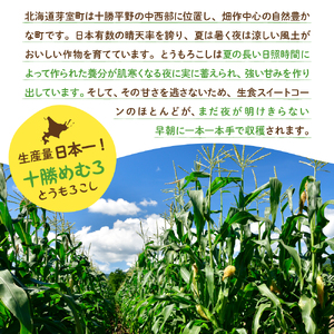 【2025年分先行予約】北海道十勝芽室町 とうもろこし イエロー種5本 ホワイト種5本 とうもろこし トウモロコシ 北海道 十勝 芽室町 生 野菜 人気 キャンプ飯 BBQ ソロキャン お取り寄せ me002-008c-25