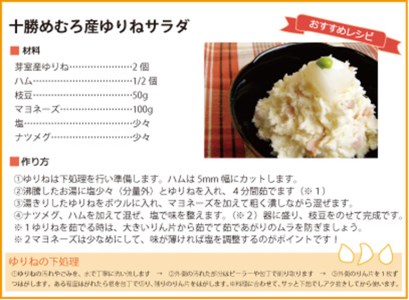 【先行受付】【12月中旬より発送】ゆり根 1kg Lサイズ 9玉入り 1箱 北海道 十勝 芽室町me010-001c-24