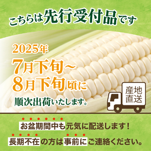 【 2025年分先行予約 】とうもろこし 北海道産 ホワイトショコラ 10本 廣田農園 期間限定 数量限定 糖度 18 ～ 19度 甘い 人気 白 とうきび コーン 野菜 生 産地直送 送料無料 お取り寄せ お取り寄せグルメ 朝採り 産地直送 贈り物 ギフト 十勝 芽室町 me031-001c-25