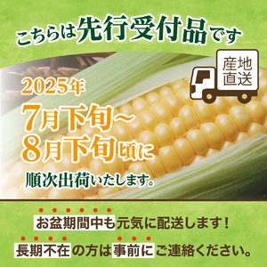 とうもろこし トウモロコシ 北海道 十勝 芽室町 生 野菜 人気 キャンプ飯 BBQ ソロキャン お取り寄せ【2024年分先行予約】 北海道十勝 芽室町産 朝獲れ とうもろこし 味来 20本 me035-005-24c