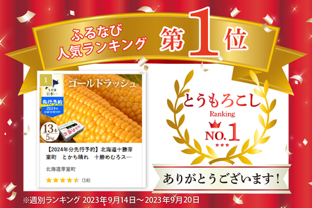 とうもろこし【2025年分先行予約】北海道産 とかち晴れ ゴールドラッシュ 13本入 2L 5kg スイートコーン とうきび 大粒 人気 朝採り 産地直送 甘い 送料無料 期間限定 数量限定 JA 北海道 十勝 芽室町 めむろ me010-005c-25