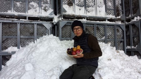 【先行受付】【2026年2月より順次発送】北海道十勝芽室町 季節のおまかせ野菜セット（冬） me001-015c