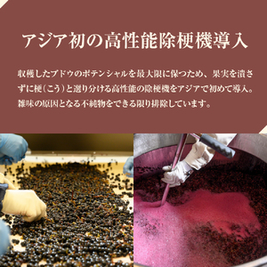 赤 ワイン AVVERARE ~かなえる 山幸 aged one year vin2020 750ml 1本(箱入)北海道 十勝 芽室町me032-037c