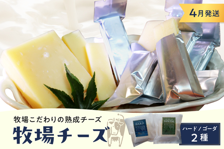 4月発送 北海道十勝芽室町 牧場チーズ２種類セットハードチーズ ゴーダチーズ HARD GOUDA ブロック スティック お取り寄せ ご当地 送料無料 北海道 十勝 芽室町me020-005c-4