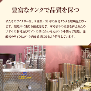  赤ワイン LEGAME 750ml×1本（箱入）北海道 十勝 芽室町me032-041c