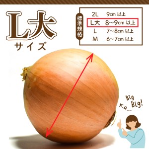 【2025年産先行受付】【10月上旬より発送】北海道十勝めむろ産　たまねぎ L大サイズ 20kg 玉ねぎ 期間限定 玉葱 タマネギ 野菜 長期保存 オニオン オニオンスープ カレー 焼肉 産地直送 送料無料 お取り寄せグルメ 北海道 十勝 芽室町　me010-011c-25