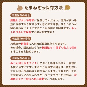 【2025年産先行受付】【10月上旬より発送】北海道十勝めむろ産　たまねぎ L大サイズ 20kg 玉ねぎ 期間限定 玉葱 タマネギ 野菜 長期保存 オニオン オニオンスープ カレー 焼肉 産地直送 送料無料 お取り寄せグルメ 北海道 十勝 芽室町　me010-011c-25