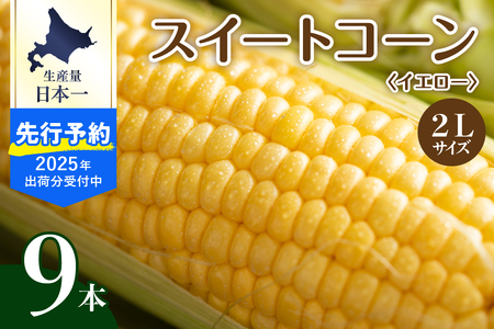 【2025年分先行予約】 北海道産 令和7年 とうもろこし スイートコーン イエロー種  2L サイズ 9本  人気 キャンプ飯 BBQ アウトドア ソロキャン バーベキュー 焼肉 トウモロコシ とうきび コーン 甘い 野菜 北海道 十勝 芽室町 めむろ 数量限定 me002-021c-25