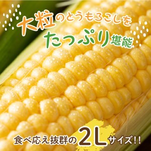 【2025年分先行予約】 北海道産 令和7年 とうもろこし スイートコーン イエロー種  2L サイズ 9本  人気 キャンプ飯 BBQ アウトドア ソロキャン バーベキュー 焼肉 トウモロコシ とうきび コーン 甘い 野菜 北海道 十勝 芽室町 めむろ 数量限定 me002-021c-25