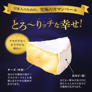  明治 北海道 十勝 チーズ カマンベール 4種 5個 セット おつまみ 冷蔵便 詰め合わせ チーズ cheese CHEESE カマンベールチーズ ナチュラルチーズ ブラックペッパー 燻製 乳製品 食べ比べ お取り寄せ チーズフォンデュ 芽室町me003-068c