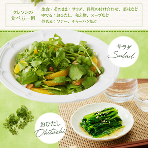 【先行受付】【2026年4月下旬より発送】北海道十勝芽室町 めむろ春一番旬の恵みセットＡ 旬 新鮮 産地直送 本わさび 山わさび サラダ 野菜 クレソン 薬味 香味野菜 おひたし ソテー 付け合わせ 北海道 十勝 芽室町me011-002c