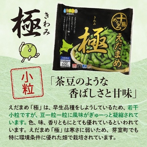 十勝めむろ えだまめ 食べ比べ 2種 10袋 1袋 300g 枝豆 極 冷凍 大容量 たっぷり 3kg ビール おつまみ 送料無料 特産品 お手軽 お酒 おかず 弁当 時短 ずんだ 晩酌 北海道 十勝 芽室町me003-080c