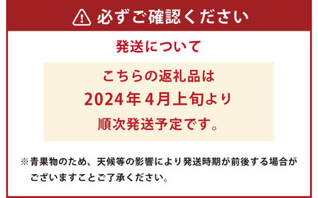 【2024年4月上旬発送開始】熊本スイカ 1玉 約4.5kg前後