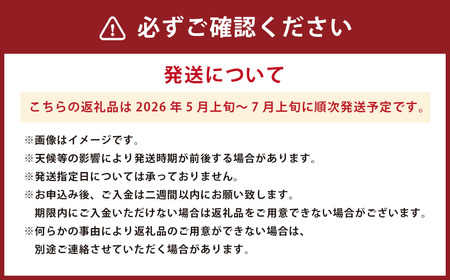 肥後グリーン メロン 2玉入 3L以上 (1玉あたり1.6kg以上)  【2026年5月上旬～7月上旬迄順次発送予定】