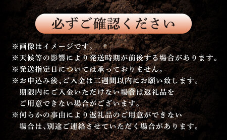 大玉西瓜（1玉入り）8kg以上 すいか スイカ 【2026年5月上旬～7月上旬迄順次発送予定】