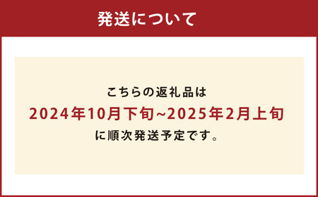 【規格外品】 みかん ご家庭用 約6kg サイズ不選別 蜜柑 ミカン フルーツ 果物 くだもの 柑橘 熊本産 九州産【2024年10月下旬～2025年2月上旬発送予定】