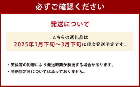 【規格外品】 不知火 (デコポンと同品種) ご家庭用 約4kg サイズ不選別【2025年1月下旬～3月下旬発送開始】しらぬい 果物 くだもの フルーツ 柑橘