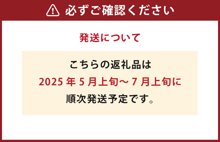 【2024年5月上旬発送開始】 肥後グリーンメロン 1玉入り 約1.6kg以上