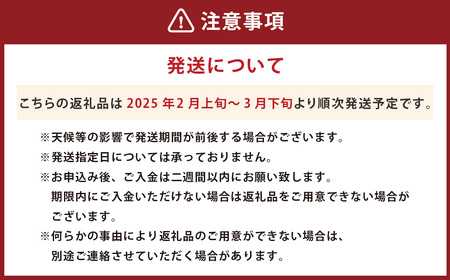 不知火 (デコポンと同品種) 【手選別まごころ選果】 約2kg サイズ不選別【2025年2月上旬～2025年3月下旬発送予定】