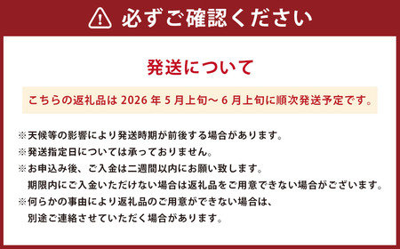 金色羅皇 1玉入り (8kg以上) 【2026年5月上旬~6月上旬迄順次発送予定】