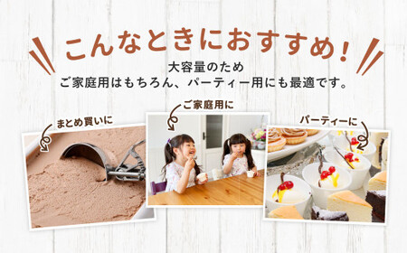 チョコレートアイスミルク 2L 【2025年6月下旬順次発送開始】