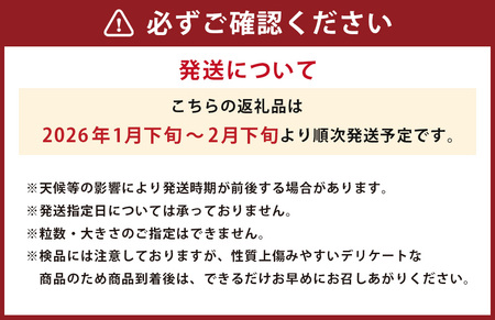 パール柑 【規格外品】ご家庭用 約4kg サイズ不選別 【2026年1月下旬～2月下旬迄発送予定】