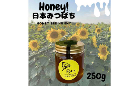 熊本県産 日本みつばちの蜂蜜 約250g