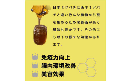 熊本県産 日本みつばちの蜂蜜 約250g