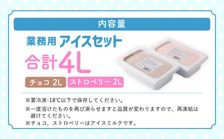 2Lアイス セット (チョコ・ストロベリー) 合計4L アイス 自家製 業務用 大容量 【2025年6月下旬順次発送開始】