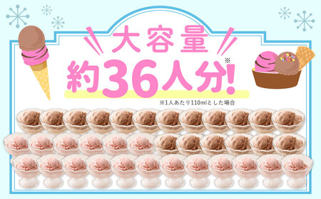 2Lアイス セット (チョコ・ストロベリー) 合計4L アイス 自家製 業務用 大容量 【2025年6月下旬順次発送開始】