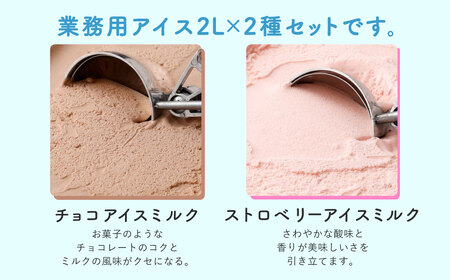 2Lアイス セット (チョコ・ストロベリー) 合計4L アイス 自家製 業務用 大容量 【2025年6月下旬順次発送開始】