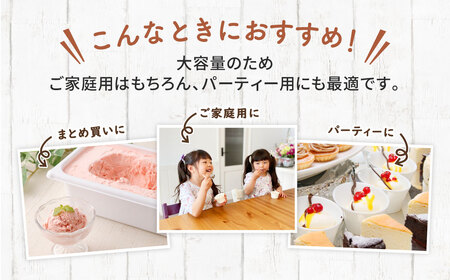 2Lアイス セット (チョコ・ストロベリー) 合計4L アイス 自家製 業務用 大容量 【2025年6月下旬順次発送開始】