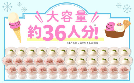 2Lアイス セット (バニラ・ストロベリー) 合計4L アイス 自家製 業務用 大容量 【2025年6月下旬順次発送開始】