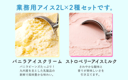 2Lアイス セット (バニラ・ストロベリー) 合計4L アイス 自家製 業務用 大容量 【2025年6月下旬順次発送開始】
