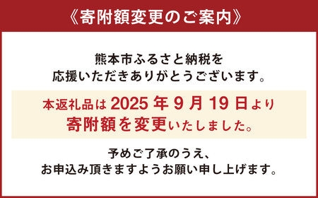 熊本産 小玉すいか ピノガール 2玉入り 1玉あたり1.5kg以上【2026年5月上旬～6月下旬迄順次発送予定】