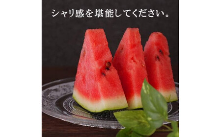 熊本産 大玉すいか ラオウザスイート 1玉入り 5kg以上【2026年5月上旬～6月下旬迄順次発送予定】