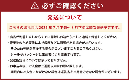 熊本産 シャインマスカット 約1.2kg 2～3房【2025年7月下旬～2025年8月下旬発送予定】シャインマスカット 果物 くだもの