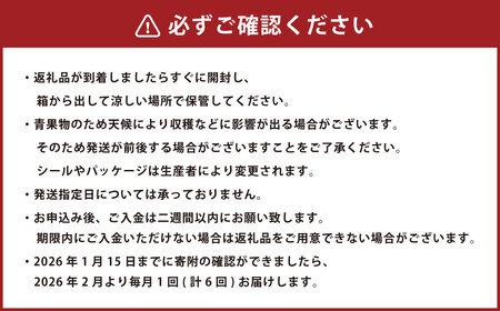 熊本産 フルーツ 6か月定期便 果物 フルーツ セット 定期便【2026年2月上旬～7月下旬迄発送予定】