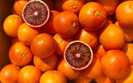 熊本産 フルーツ 6か月定期便 果物 フルーツ セット 定期便【2026年2月上旬～7月下旬迄発送予定】