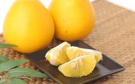 熊本産 フルーツ 6か月定期便 果物 フルーツ セット 定期便【2026年2月上旬～7月下旬迄発送予定】