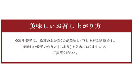 熊本和牛あか牛ぎょうざセット 20個入り×2箱
